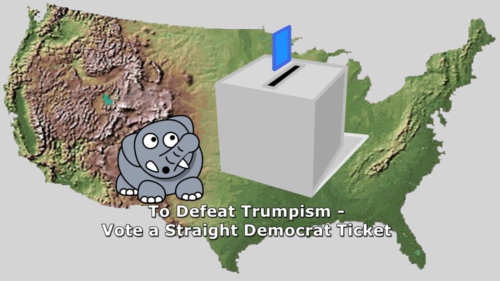 Voting, Democratic ticket, Trumpism defeat