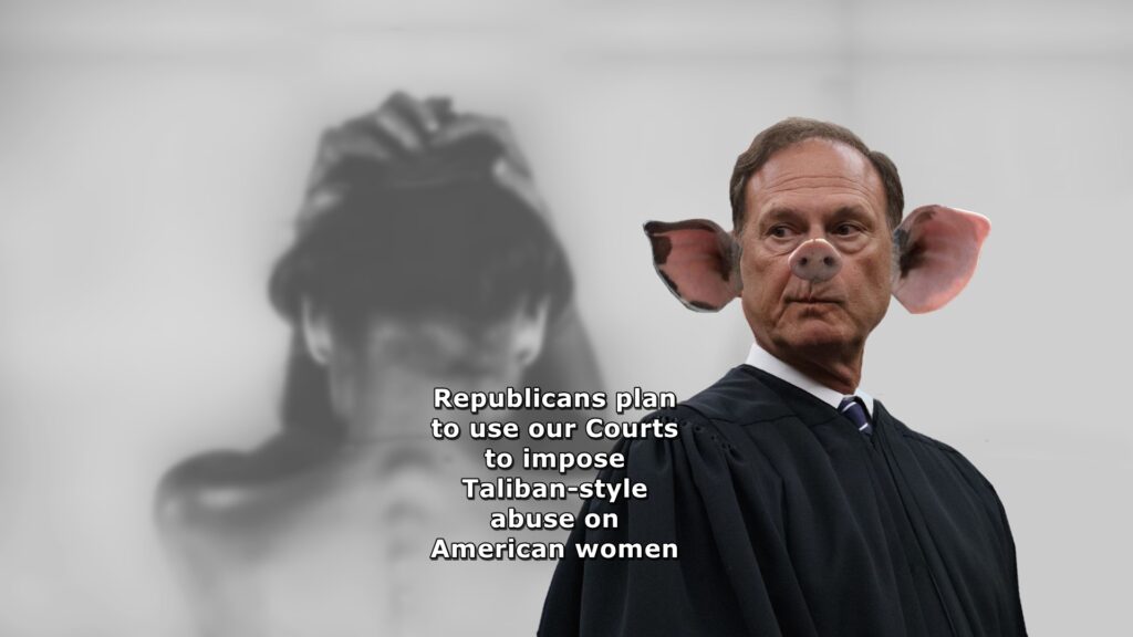 Alito, misogynists, courts, women's rights, court rulings