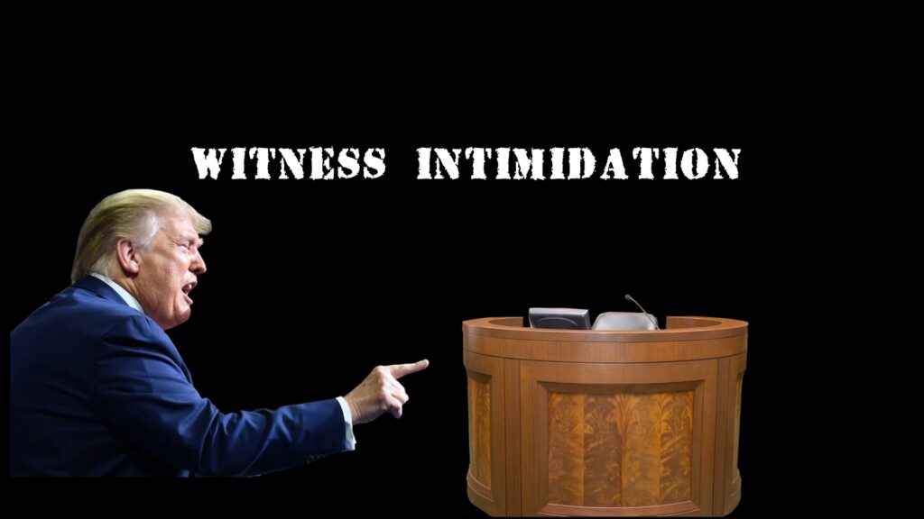 Trump, court witness, witness stand