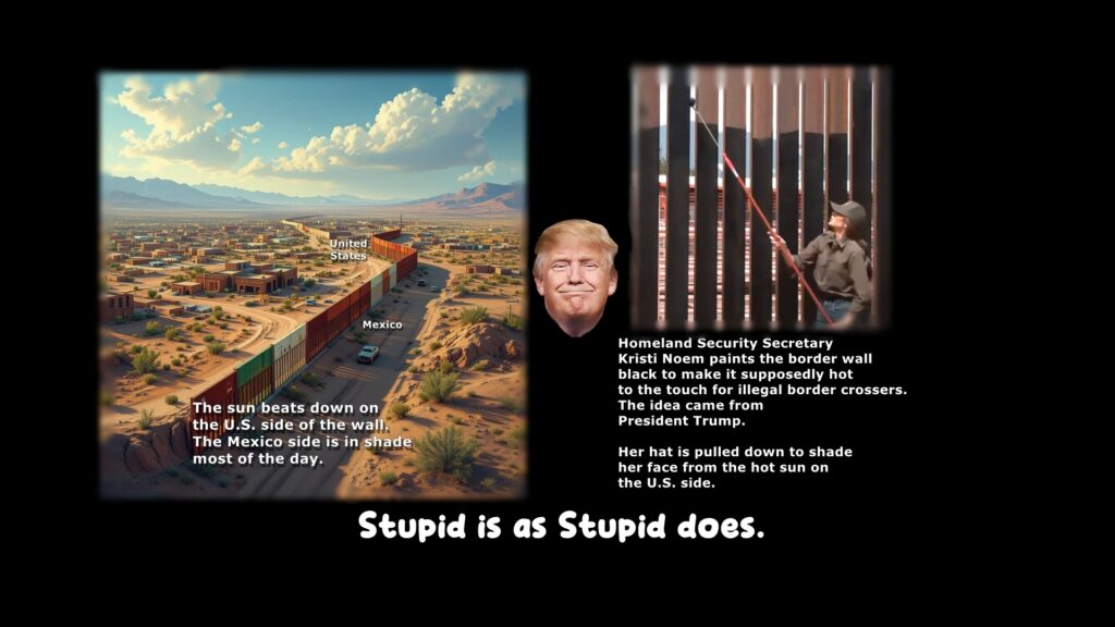 Trump, border wall, black, paint, sunshine, climbers, Immigration