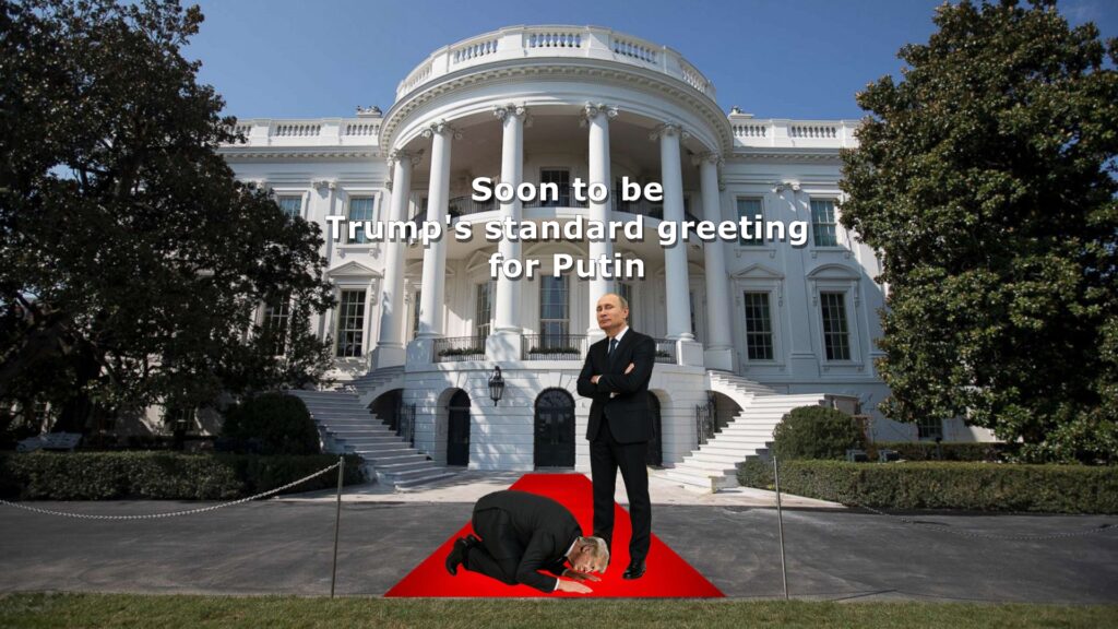 Trump, Putin, grovel, Ukraine, fool