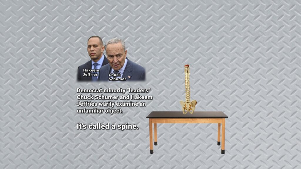 Schumer, Jeffries, spine, Trump, dictatorship, Democrats