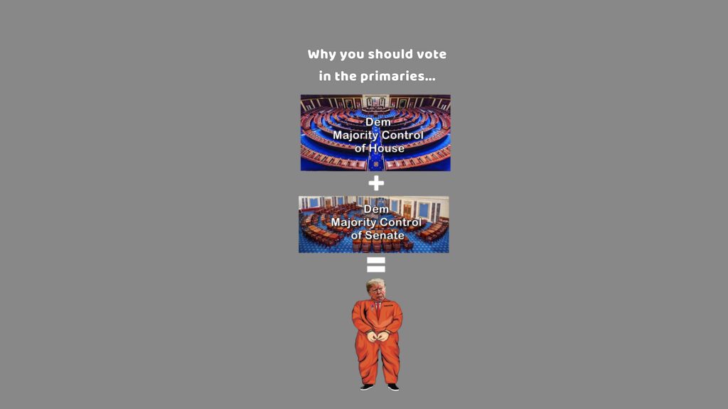 Primaries, candidates, Dems, Democrats, November, House, Senate, Trump, MAGA