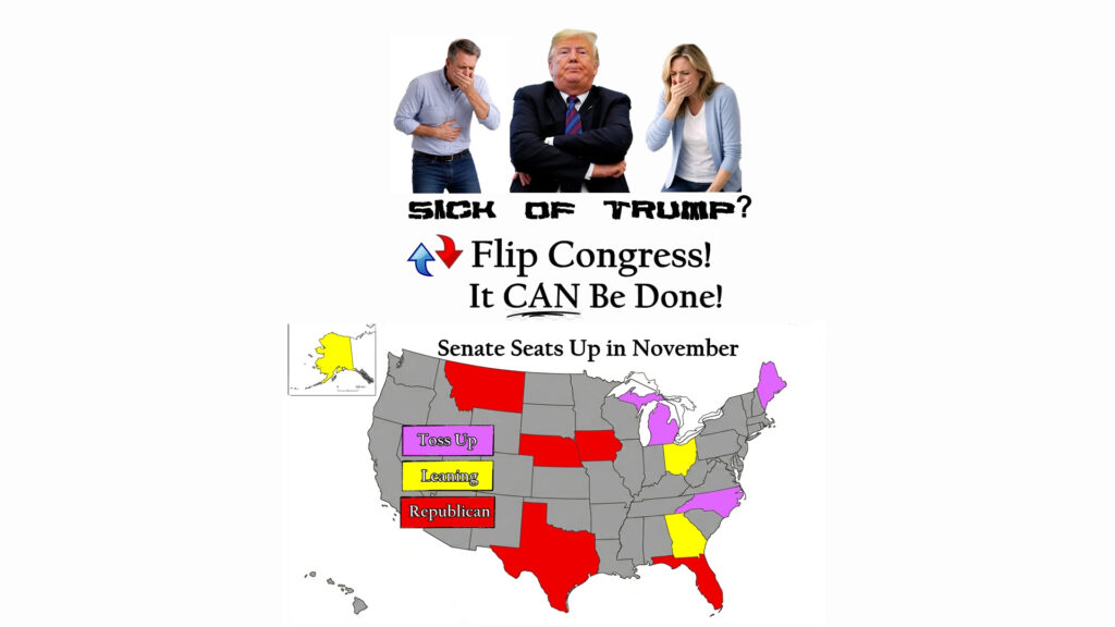 The way to stop Trump is to flip the majorities in Congress in November. It's a hard battle, but it's within reach.