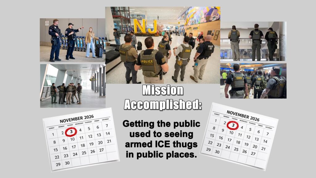 Most, if not all, of the Mainstream Media missed the real reason armed ICE agents have been sent to the nation's airports: it's to get the public used to seeing armed federal agents in public, in locations like polling places.