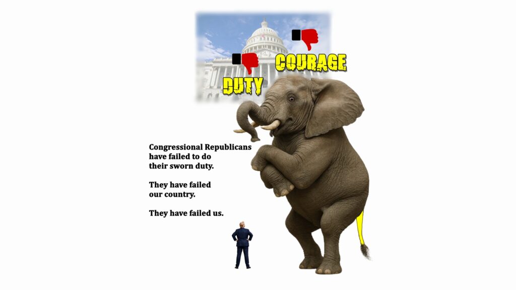 Voters should work to flip Congress because Republican members have failed to do their sworn duty.