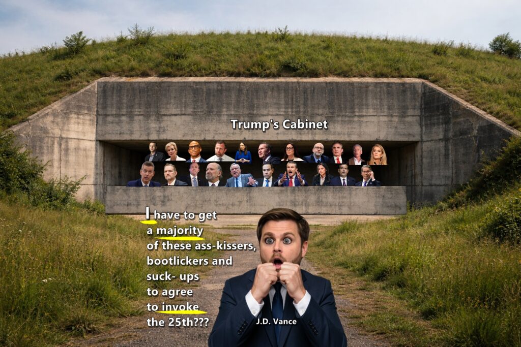 Talk of invoking the 25th Amendment to remove President Trump is just talk. V.P. J.D. Vance and Trump's Cabinet are too cowardly to remove MAGA's Messiah.