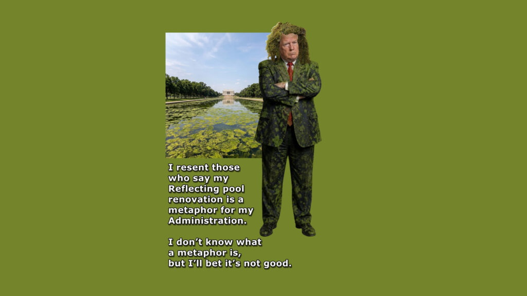 The the peeling paint and growing algae in the Washington Reflecting pool are being likened to Trump's presidency: a failure based on poor planning, cutting corners and incompetence.