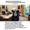 A federal appeals court joined lower courts in blocking Trump's attempt to thwart vote-by-mail in November. But Trump can always lie and say China has infiltrated the voting system so federal agents and troops have to seize all votes as part of a phony national security emergency.