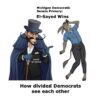 Democrats who believe the Party needs radical change scored a big victory when Abdul El-Sayed won the Michigan Democratic Senate primary.