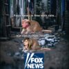 Faux (Fox) News tolerates lies, distortions and blatant corruption in the White House, but they draw the line at their own staff acting as snitches, rats, for the White House. That's why anchor star and Trump cheerleader Maria Bartiromo was fired. She snitched to the White House on Fox News plans about Trump coverage.