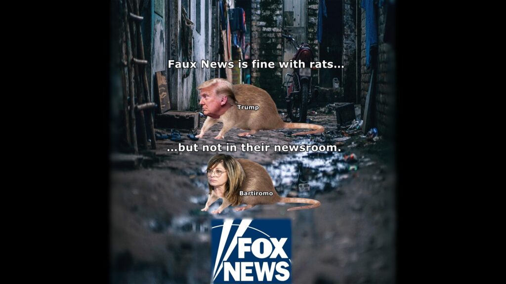 Faux (Fox) News tolerates lies, distortions and blatant corruption in the White House, but they draw the line at their own staff acting as snitches, rats, for the White House. That's why anchor star and Trump cheerleader Maria Bartiromo was fired. She snitched to the White House on Fox News plans about Trump coverage.