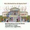 The way to slow the Supreme Court gutting of the Constitution is to defeat Senate Republicans who would rubber stamp any new Trump nominee.