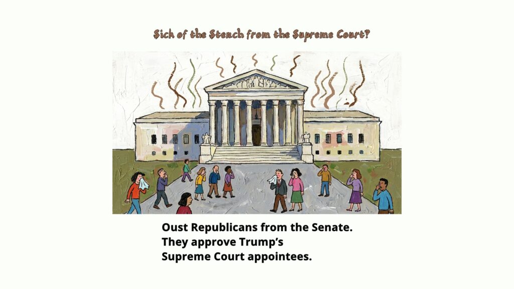 The way to slow the Supreme Court gutting of the Constitution is to defeat Senate Republicans who would rubber stamp any new Trump nominee.