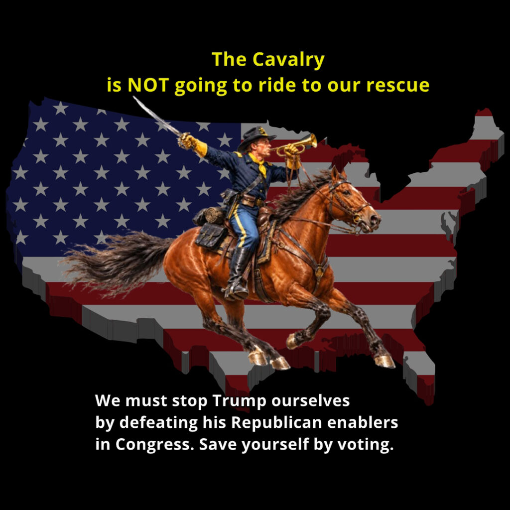 Stop Trump by purging Congress of all the incumbent Republican Trump enablers in the House and the Senate. Fight Trump by voting in November.