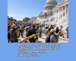 To stop Trump we must eliminate (fumigate) his enablers in Congress-House AND Senate. They control our money, the money Trump is using to destroy the government.
