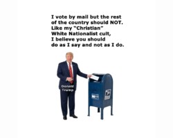 Donald Trump is increasingly desperate to disrupt the November election because he knows a Democrat majority in Congress will reduce his imperial power and may convict him of high crimes and misdemeanors. He’s frantically trying to disrupt vote-by-mail because a third of Americans vote by mail.