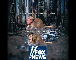Faux (Fox) News tolerates lies, distortions and blatant corruption in the White House, but they draw the line at their own staff acting as snitches, rats, for the White House. That's why anchor star and Trump cheerleader Maria Bartiromo was fired. She snitched to the White House on Fox News plans about Trump coverage.