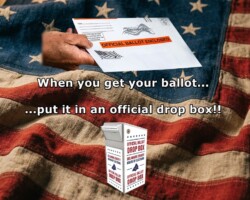 When you get your ballot, fill it in and turn it in ASAP. If official drop boxes are available, use them. Don't trust Trump's U.S. Post Office. Sad but necessary.