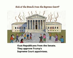 The way to slow the Supreme Court gutting of the Constitution is to defeat Senate Republicans who would rubber stamp any new Trump nominee.