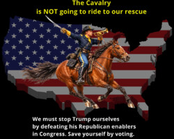 Stop Trump by purging Congress of all the incumbent Republican Trump enablers in the House and the Senate. Fight Trump by voting in November.