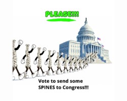 The vast majority of Americans believe change is needed in Congress. We should begin by voting to send backbones to Washington—politicians willing and ready to stand up to Trump's monarchy ambitions. That eliminates most Republicans on the ballot.